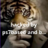 anton_1213